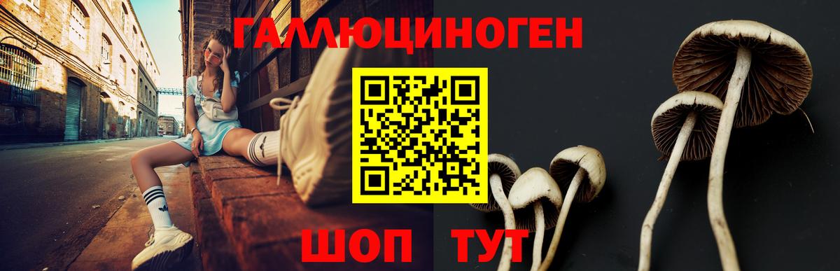 Псилоцибиновые грибы мицелий  Псилоцибиновые грибы Psilocybe  Вход с VPN  Златоуст 